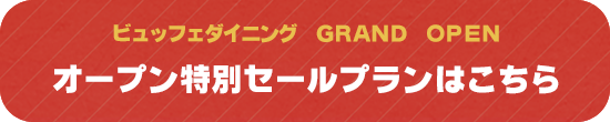 オープン特別セールプランはこちら